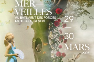 DANCE AREA "ALICE AU PAYS DES MERVEILLES"