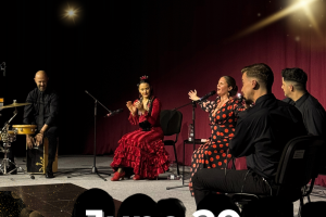 FLAMENCO SHOW "FLAMENCOMANIA"