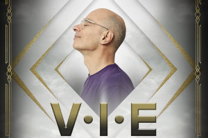 BERNARD WERBER "V.I.E."