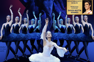 LE LAC DES CYGNES // SWAN LAKE