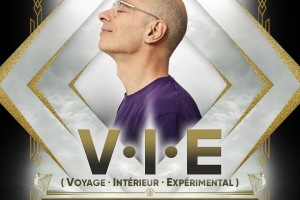 BERNARD WERBER "V.I.E."